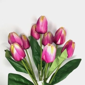 Purple Cream Tulip Bush 43cm