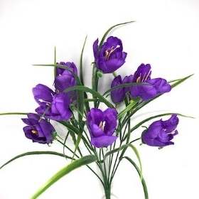 48 x Yellow And Purple Mini Tulip Bush 36cm