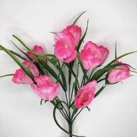 48 x Pink And White Mini Tulip Bush 36cm