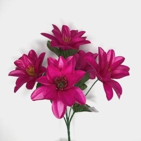 Plum Wild Dahlia Bush 32cm