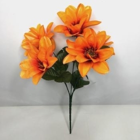 Orange Wild Dahlia Bush 32cm