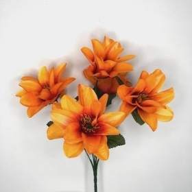 Orange Wild Dahlia Bush 32cm