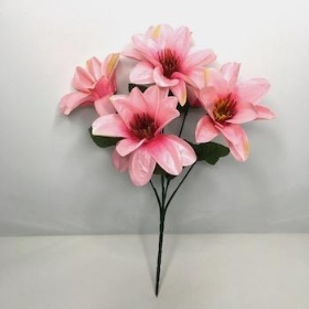 Pink Wild Dahlia Bush 32cm