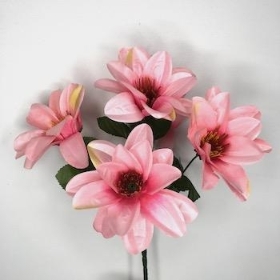 Pink Wild Dahlia Bush 32cm