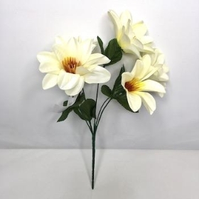 Ivory Wild Dahlia Bush 32cm