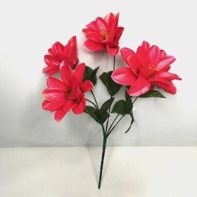 48 x Assorted Wild Dahlia Bush 32cm