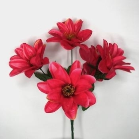 Cerise Wild Dahlia Bush 32cm