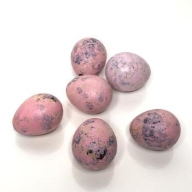 Pink Quail Eggs x 60