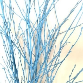 Light Blue Painted Birch