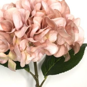 Dusky Pale Pink Hydrangea 54cm
