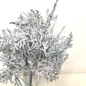 Grey Cushion Bush 24cm