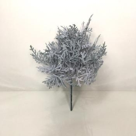 Grey Cushion Bush 24cm