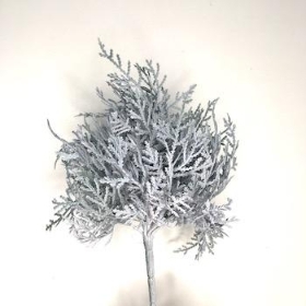 Grey Cushion Bush 24cm