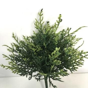 Green Cushion Bush 24cm