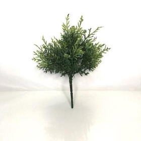 Green Cushion Bush 24cm