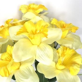 Light Yellow Daffodil Bush 38cm