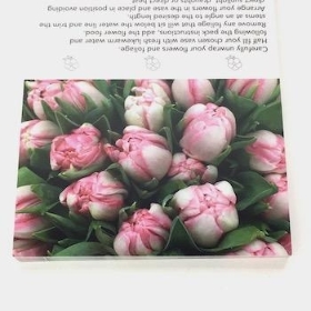 Pink Tulips Folding Card x 25