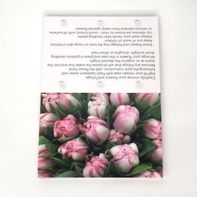 Pink Tulips Folding Card x 25