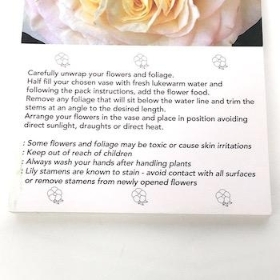 Ivory Garden Rose Folding Card x 25