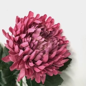 Mauve Chrysanthemum Bloom 62cm