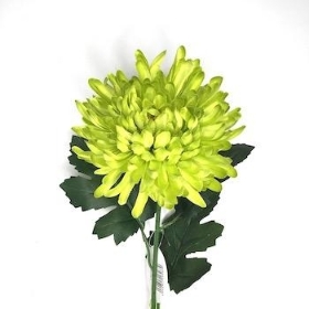 Green Chrysanthemum Bloom 62cm