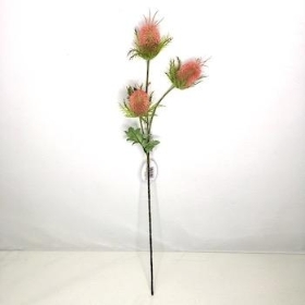 Pink Thistle 65cm