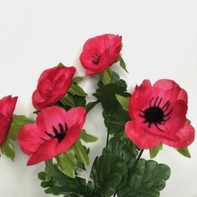 Cerise Poppy Bush 30cm 