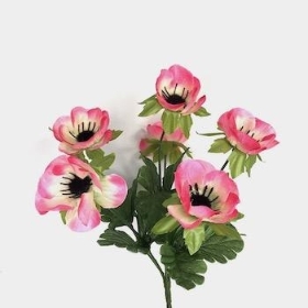 Pink Poppy Bush 30cm