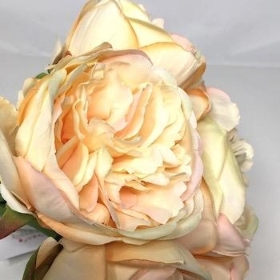 Champagne Peony Bundle 31cm