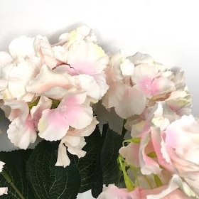 Pale Pink Hydrangea Bush 42cm