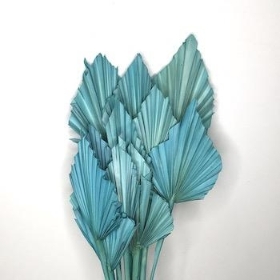 Dried Teal Blue Palm Spear 50cm x 10