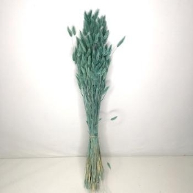 Dried Teal Blue Bunny Tails 65cm
