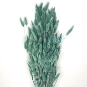 Dried Teal Blue Bunny Tails 65cm