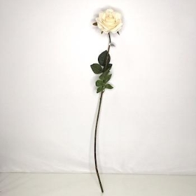 Cream Vintage Rose 72cm