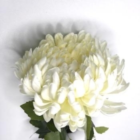 Cream Chrysanthemum Bloom 70cm