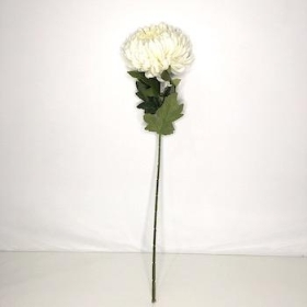 Cream Chrysanthemum Bloom 70cm