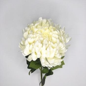 Cream Chrysanthemum Bloom 70cm