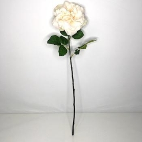 Cream Wild Rose 62cm