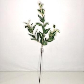 Variegated Green Tradescantia Spray 73cm