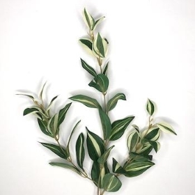 Variegated Green Tradescantia Spray 73cm