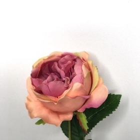 Peach Mauve Garden Rose 44cm