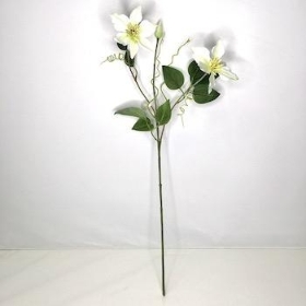 Ivory Clematis 73cm