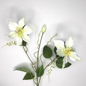 Ivory Clematis 73cm