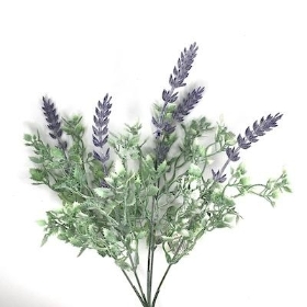 48 x Assorted Lavender Bush 30cm