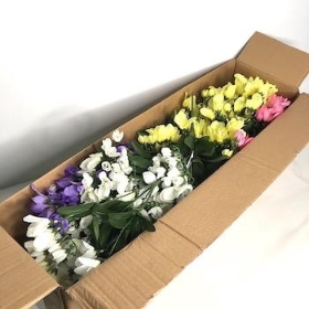 48 x Assorted Freesia Bush 33cm