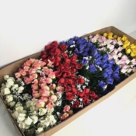 48 x Assorted Mini Rosebud Bush 32cm