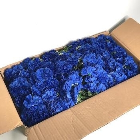 48 x Royal Blue Carnation Bush 32cm