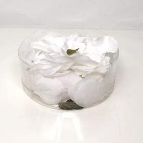 White Rose Petals x 164