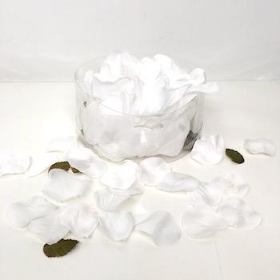 White Rose Petals x 164