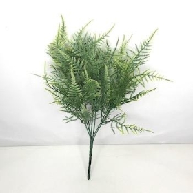 Green Asparagus Fern Bush 34cm